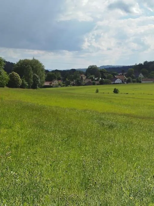 Altes Otto Haus Villa Stamsried Holiday home