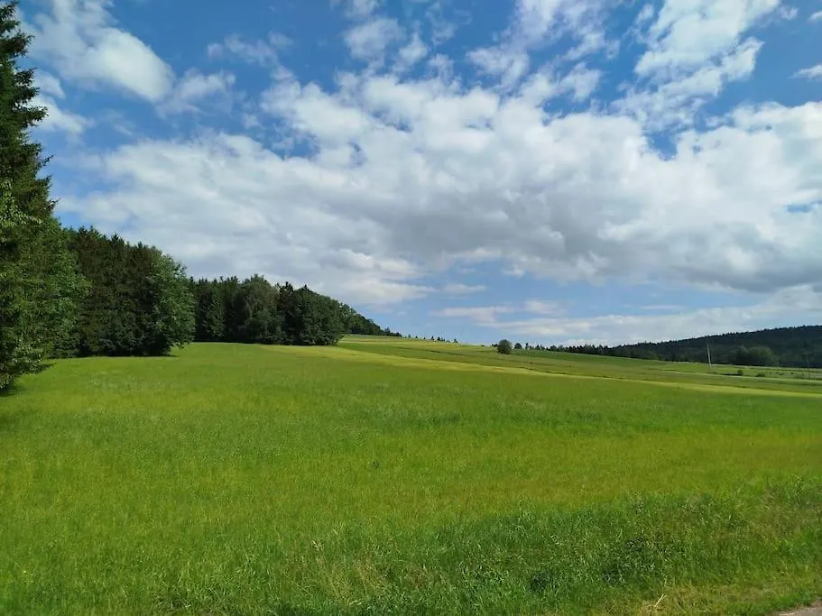 Altes Otto Haus Villa Stamsried